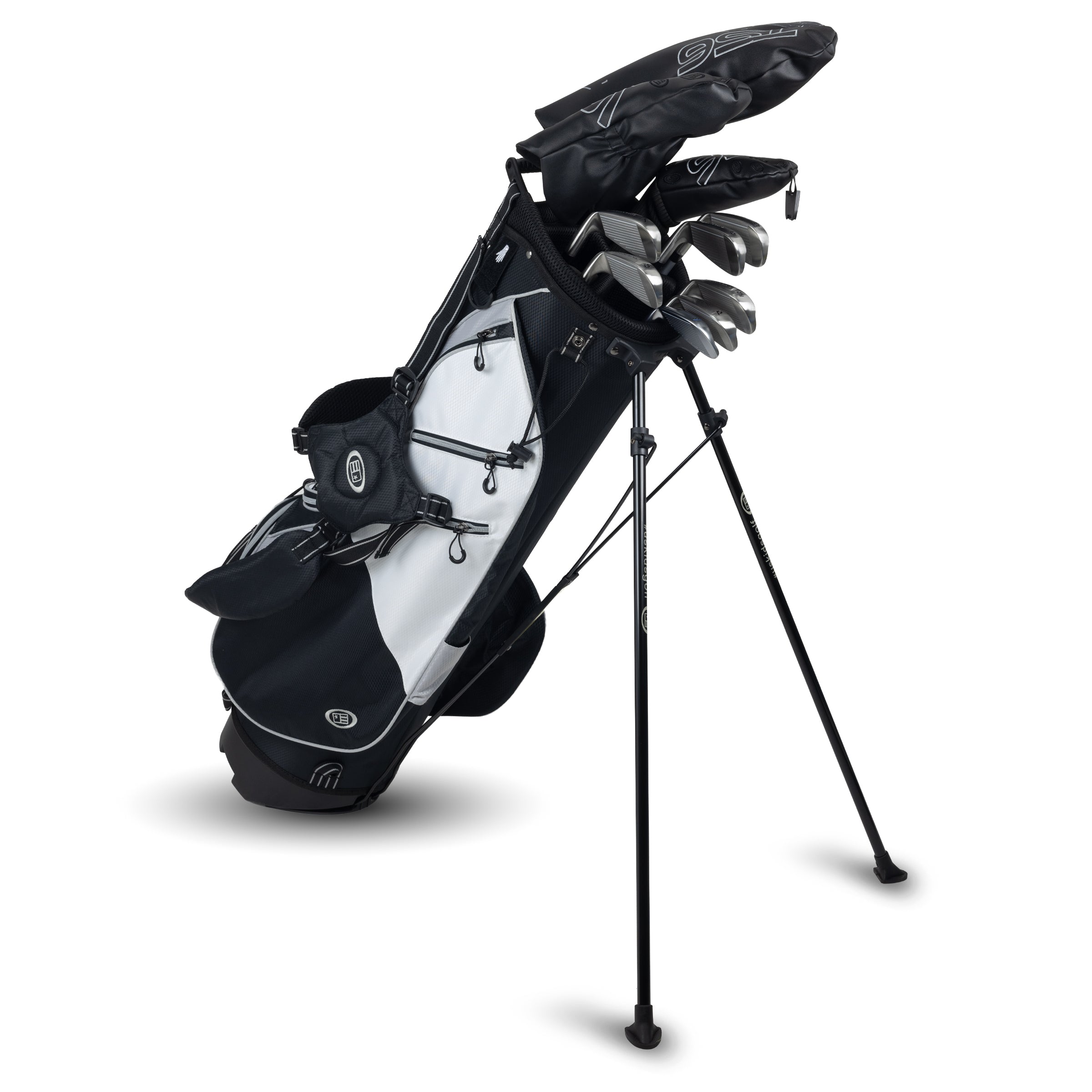 TS6-63 10 Club Stand Set Graphite Shaft