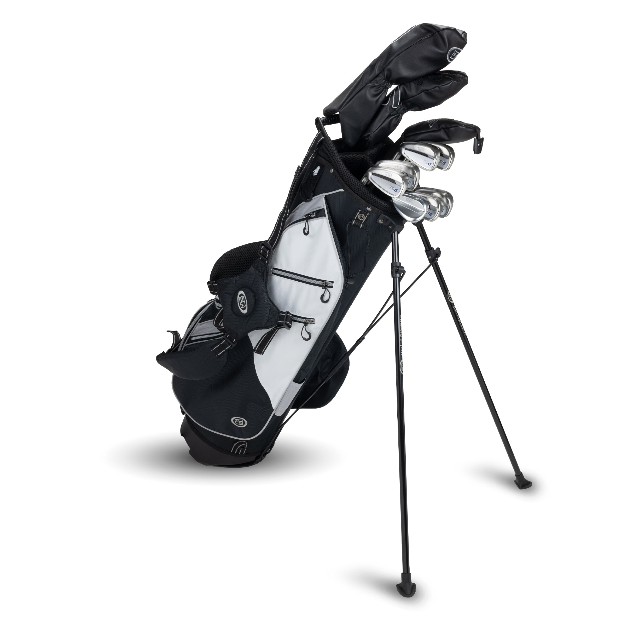 TS6-63 10 Club Stand Set Graphite Shaft