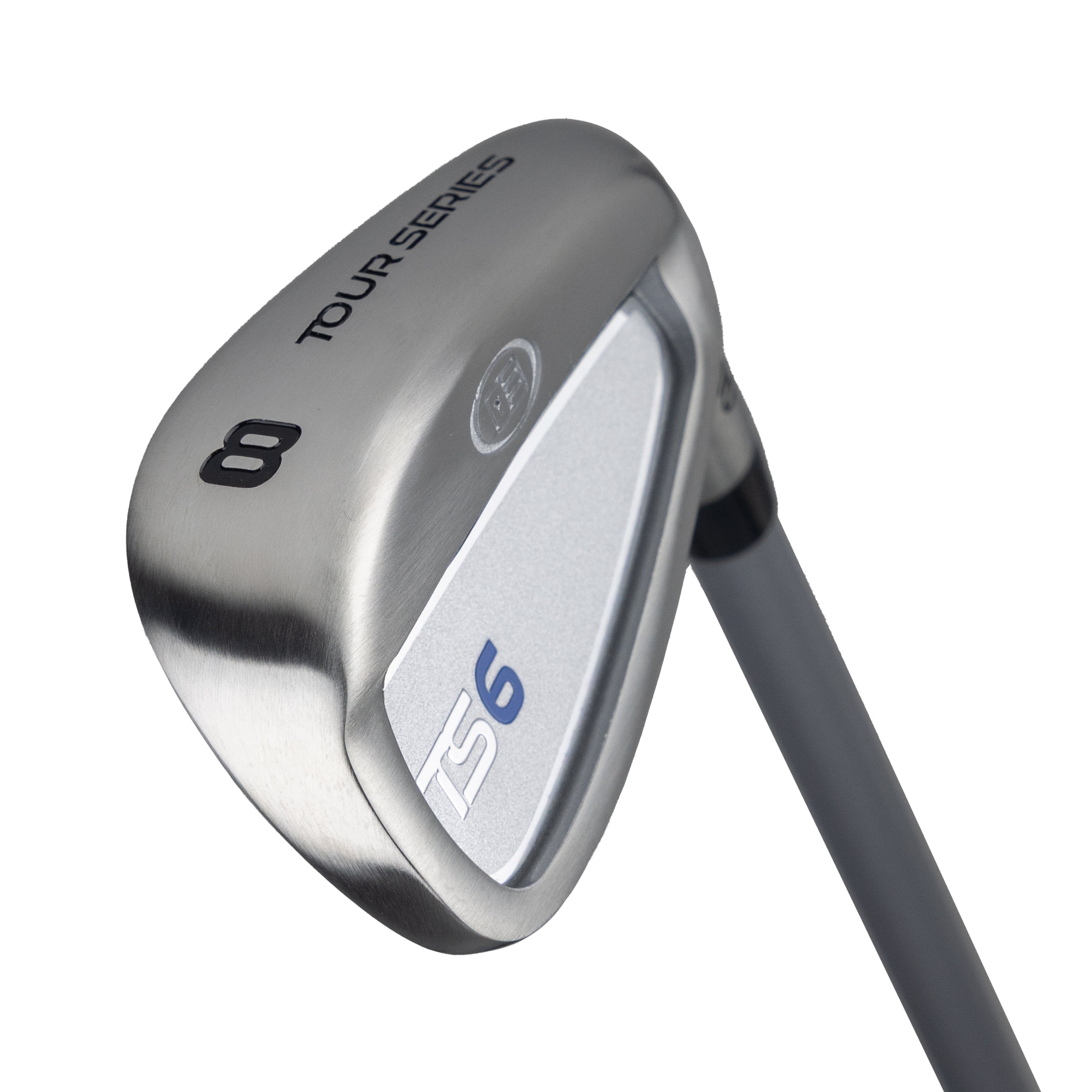 TS6-54 8 Iron, w10 Graphite Shaft