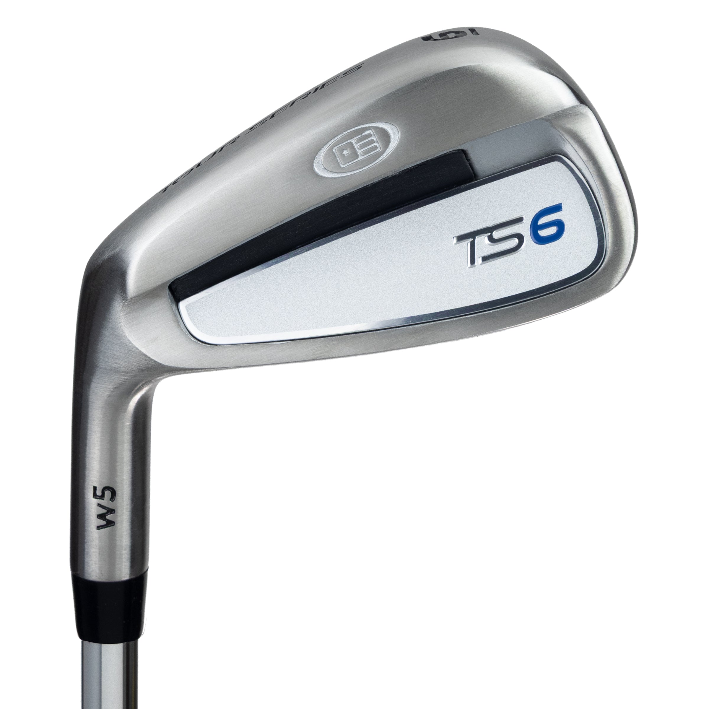 TS6-66 6 Iron, w5 Steel Shaft
