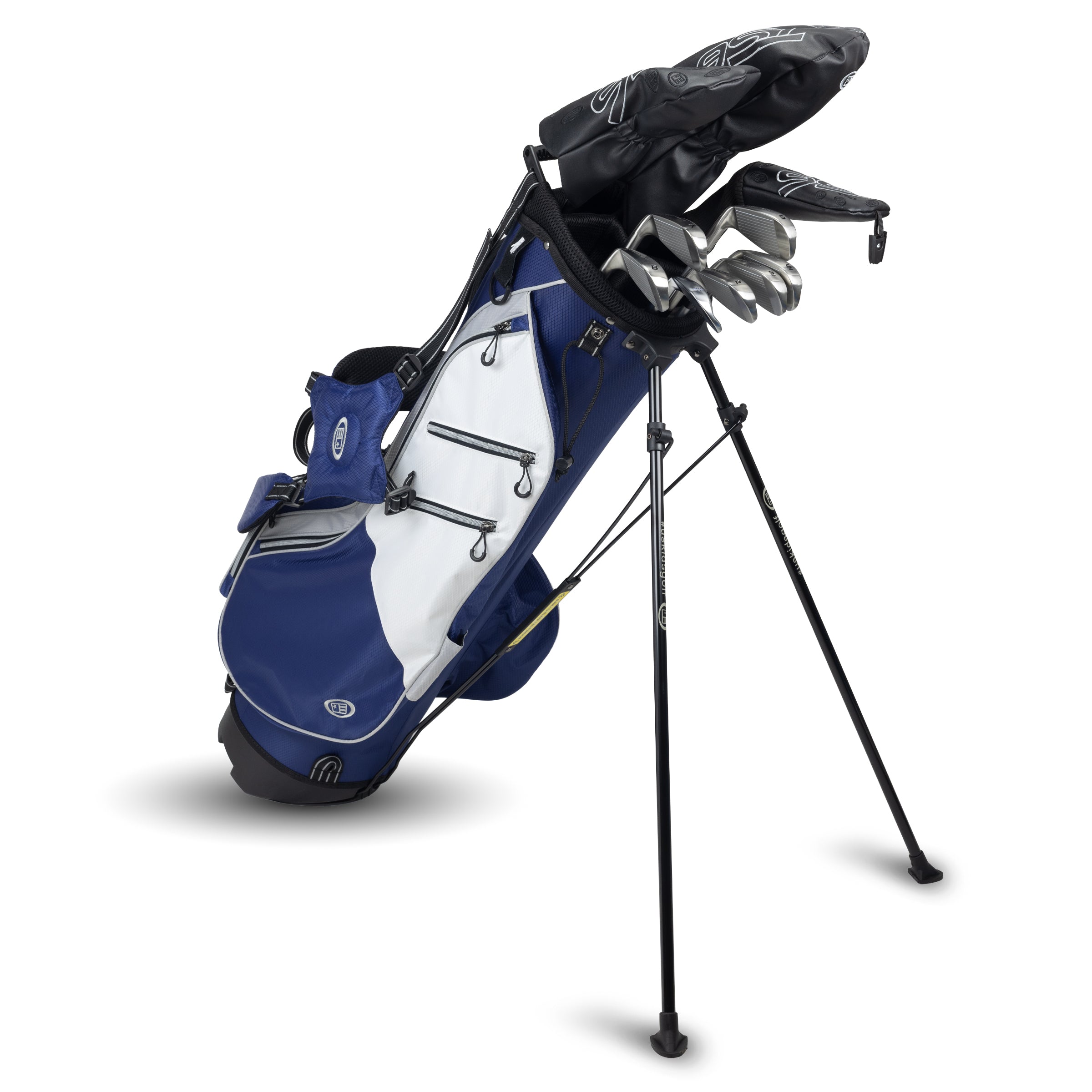 TS6-66 10 Club Stand Set Graphite Shaft
